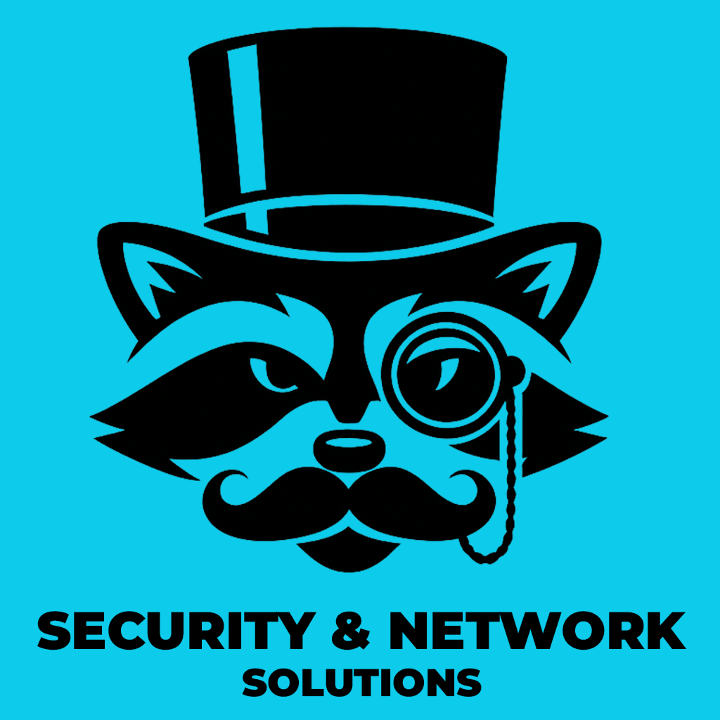 Security & Network Solutions